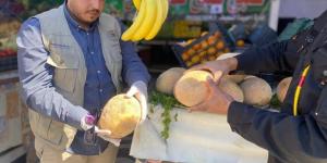 البيضاء | مركز الرقابة يسحب عينات من البطيخ ويخضعها للفحص المخبري - الكويت الاخباري