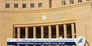 تحويلات المصـريين العاملين بالخارج تسجل قفزة تاريخية إلى 32.6 مليار دولار - الكويت الاخباري