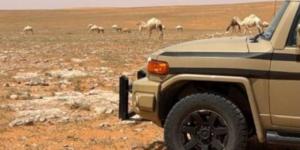 ضبط مواطن خالف نظام البيئة بالرعي في موقع محظور - الكويت الاخباري
