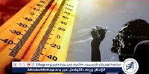 حالة الطقس اليوم الاثنين 12-5-2025 في محافظة قنا - الكويت الاخباري