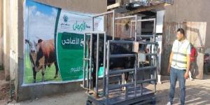 إطلاق 4 أنواع من صكوك الأضاحي لدعم الأسر الأولى بالرعاية في الفيوم - الكويت الاخباري