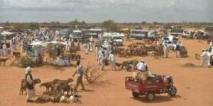 نزوح أكثر من 7 آلاف أسرة من مدينتي النهود والخوى غرب كردفان بالسودان - الكويت الاخباري