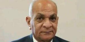 رئيس حزب الريادة: «تكافل وكرامة» علامة مضيئة في مسيرة التنمية - الكويت الاخباري