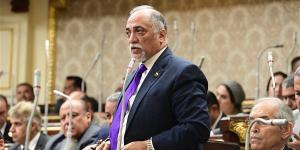 القصبي: لا يوجد نظام انتخابي أفضل.. ونختار الأنسب للمجتمع المصري - الكويت الاخباري
