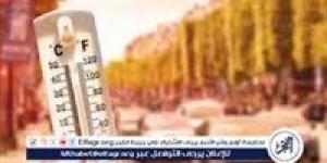 خبير بيئي يكشف سبب ارتفاع درجات الحرارة في فصل الربيع بمصر (فيديو) - الكويت الاخباري