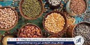 أسعار البقوليات اليوم الاثنين 26-5 -2025 في أسواق ومحال محافظة الدقهلية - الكويت الاخباري