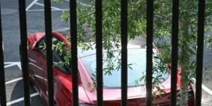 ترامب يفكر بالتبرع بسيارة تسلا أو بيعها - الكويت الاخباري