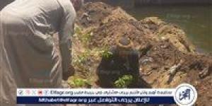 "اتحضر للأخضر" تنطلق من بهجورة بغرس 100 شجرة لمواجهة تجمعات القمامة وتحسين البيئة في نجع حمادي - الكويت الاخباري