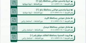 “بيئة مكة المكرمة” تطرح فرصًا استثمارية واعدة في القطاعين الزراعي والحيواني - الكويت الاخباري