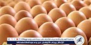أسعار طبق البيض اليوم الثلاثاء 1-6-2025 في الدقهلية - الكويت الاخباري