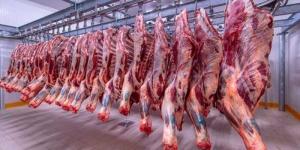 البتلو بكام النهاردة؟.. أسعار اللحوم اليوم الثلاثاء 1 يوليو 2025 - الكويت الاخباري