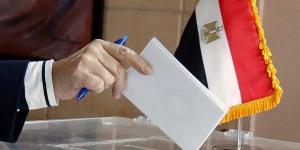 انتخابات مجلس الشيوخ في أغسطس.. أحزاب تعلن عدد المرشحين على المقاعد الفردية.. وتبدأ جولات ميدانية بالمحافظات - الكويت الاخباري