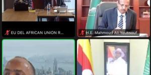 مصر تجدد دعمها لاستقرار الصومال خلال اجتماع وزاري إفريقي رفيع المستوى - الكويت الاخباري