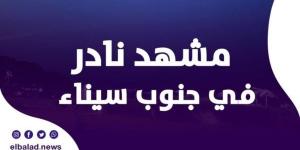 سحب أرجوانية تخطف الأنظار في سماء شرم الشيخ ودهب ونويبع.. ما القصة؟ - الكويت الاخباري