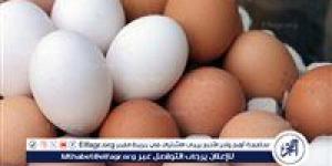 أسعار طبق البيض اليوم الخميس 3-7-2025 في الدقهلية - الكويت الاخباري
