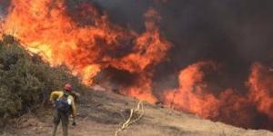 فرق الإطفاء السورية تكثف جهودها للسيطرة على حرائق غابات بريف اللاذقية - الكويت الاخباري