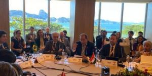 وزير المالية: نتطلع إلى دور أكبر لـ«البريكس» فى إيجاد حلول مبتكرة لأزمة الديون العالمية - الكويت الاخباري