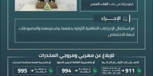 حرس الحدود بعسير يقبض على مخالفين لنظام أمن الحدود لتهريبهما 40 كيلوجرامًا من نبات القات المخدر - الكويت الاخباري