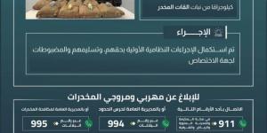 حرس الحدود بجازان يقبض على 8 مخالفين لنظام أمن الحدود لتهريبهم 160 كيلوجرامًا من نبات القات المخدر - الكويت الاخباري