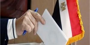 انتخابات مجلس الشيوخ .. تقدم  19 مرشحا لخوض الانتخابات في البحيرة - الكويت الاخباري