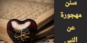 الشرب قاعدًا على ثلاثة أنفاس ..سنة منسية من هدي النبي ﷺ #سنة_منسية #الشرب_قاعدا #هدي_النبي #آداب_الطعام #الشرب_قائما #حديث_زمزم #سنن_مهجورة #اقتدوا_بالنبي #السنة_النبوية - الكويت الاخباري