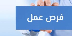 فرص عمل بالأردن.. 15 وظيفة في تربية الدواجن تنتظر الشباب - الكويت الاخباري