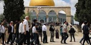 انتهاك جديد لقدسية الأقصى.. المستوطنون يقتحمون الباحات تحت حماية الاحتلال| تقرير - الكويت الاخباري