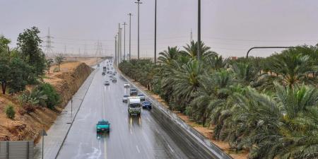 "الأرصاد" ينبه من أمطار متوسطة ورياح على منطقة الباحة - الكويت الاخباري