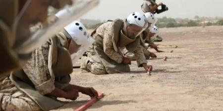 مشروع مسام السعودي يتلف آلاف الألغام في أبين ويواصل حماية المدنيين باليمن - الكويت الاخباري