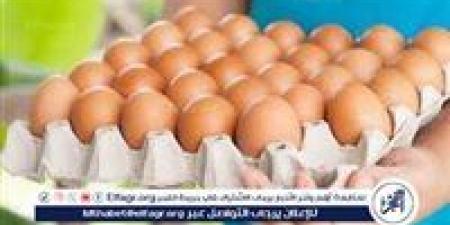 أسعار طبق البيض اليوم الخميس 1-5-2025 في قنا - الكويت الاخباري