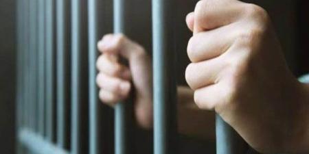 تجديد حبس المتهم بالتعدي على طفلة في شبين القناطر 15 يومًا - الكويت الاخباري