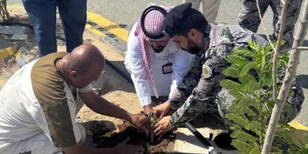بيئة جدة تنفذ مبادرة لتشجير سجن حدّا - الكويت الاخباري