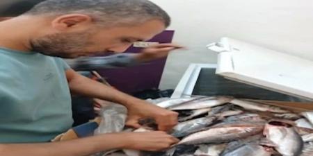 ضبط 14 طن لحوم ودواجن فاسدة في حملات بالمنوفية - الكويت الاخباري