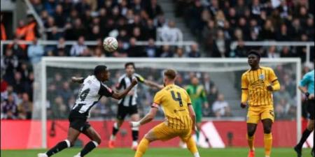 بث مباشر برايتون ضد نيوكاسل 1-0 في الدقيقة 65 بالدوري الإنجليزي - الكويت الاخباري