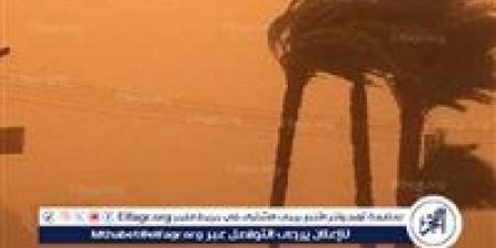 "مايو يفاجئ محبي الشتاء".. طقس غير مستقر وأمطار على القاهرة والسواحل اليوم الأحد 4 مايو 2025 - الكويت الاخباري