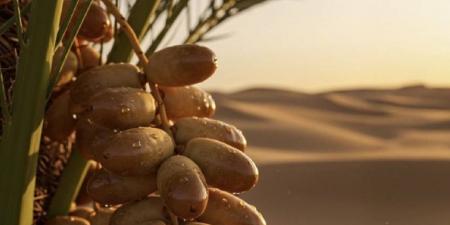 الصناعة والثروة المعدنية تعلن تأسيس جمعية مصنعي التمور غير الربحية - الكويت الاخباري