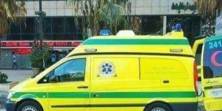 إصابة شخصين في انقلاب مقطورة على الطريق الدائري بالمعادي - الكويت الاخباري
