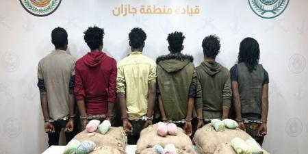 إحباط تهريب 517 كيلوجرامًا من نبات القات المخدر في جازان - الكويت الاخباري