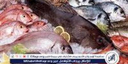 تعرف على أسعار الأسماك اليوم الأحد الموافق 11-5-2025 فى سوهاج - الكويت الاخباري