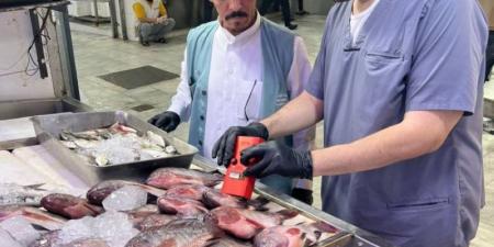 “بيئة الطائف” تبدأ استخدام جهاز حديث لفحص سلامة اللحوم والأسماك في أسواق النفع العام - الكويت الاخباري