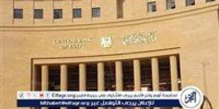 تحويلات المصـريين العاملين بالخارج تسجل قفزة تاريخية إلى 32.6 مليار دولار - الكويت الاخباري