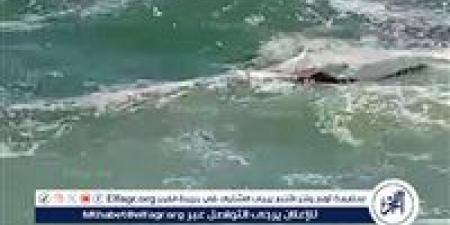 العثور على جثة مجهولة الهوية في بحر الياس بالفيوم - الكويت الاخباري