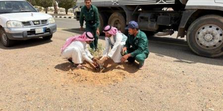 تعاون بين بيئة الخرمة والبلدية لزراعة 3 آلاف شتلة - الكويت الاخباري