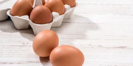 دراسة جديدة تحذر بروتين البيض والخميرة قد يضر بصحة الأمعاء - الكويت الاخباري