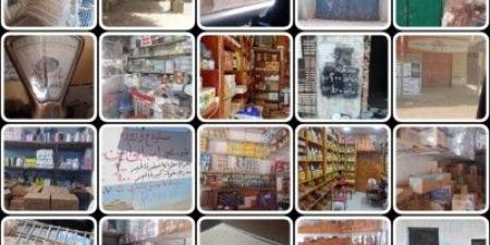 تحرير 314 محضرا ومخالفة تموينية في حملات لضبط الاسواق بالقليوبية تحرير 314 محضرا ومخالفة تموينية في حملات لضبط الاسواق بالقليوبية - الكويت الاخباري