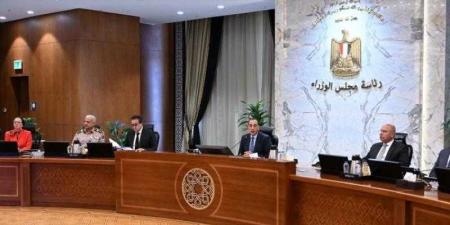مدبولى: الجولات المُوسعة بمناطق التطوير بالمنطقة الاقتصادية لقناة السويس دعماً لتوجه الدولة نحو توطين الصناعات - الكويت الاخباري