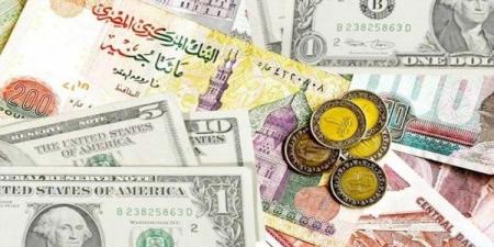 أسعار العملات الأجنبية أمام الجنيه المصري اليوم الأربعاء 14 مايو - الكويت الاخباري