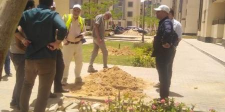 رئيس جهاز حدائق العاصمة يوضح حقيقة أول مشروع سكنى من نوعه بالمدينة.. صور - الكويت الاخباري
