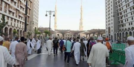 وصول 9 حافلات.. المدينة المنورة تستقبل طلائع حجاج مصر وإندونيسيا - الكويت الاخباري