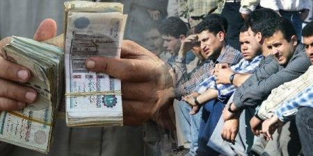 الاستعلام عن منحة العمالة غير المنتظمة 2025.. الرابط والخطوات - الكويت الاخباري